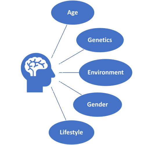 A diagram showing a human head and brain with lines connecting to five factors: Age, Environment, Genetics, Gender, and Lifestyle. Genetics is emphasized with a bold border.