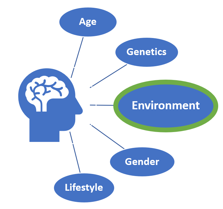 A diagram showing a human head and brain with lines connecting to five factors: Age, Environment, Genetics, Gender, and Lifestyle. Genetics is emphasized with a bold border.