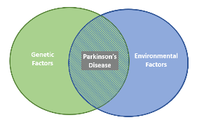 A Venn diagram showing Genetic Factors and Environmental Factors overlapping in the middle, where Parkinson’s Disease is labeled.  Indicates both factors contribute to the disease.